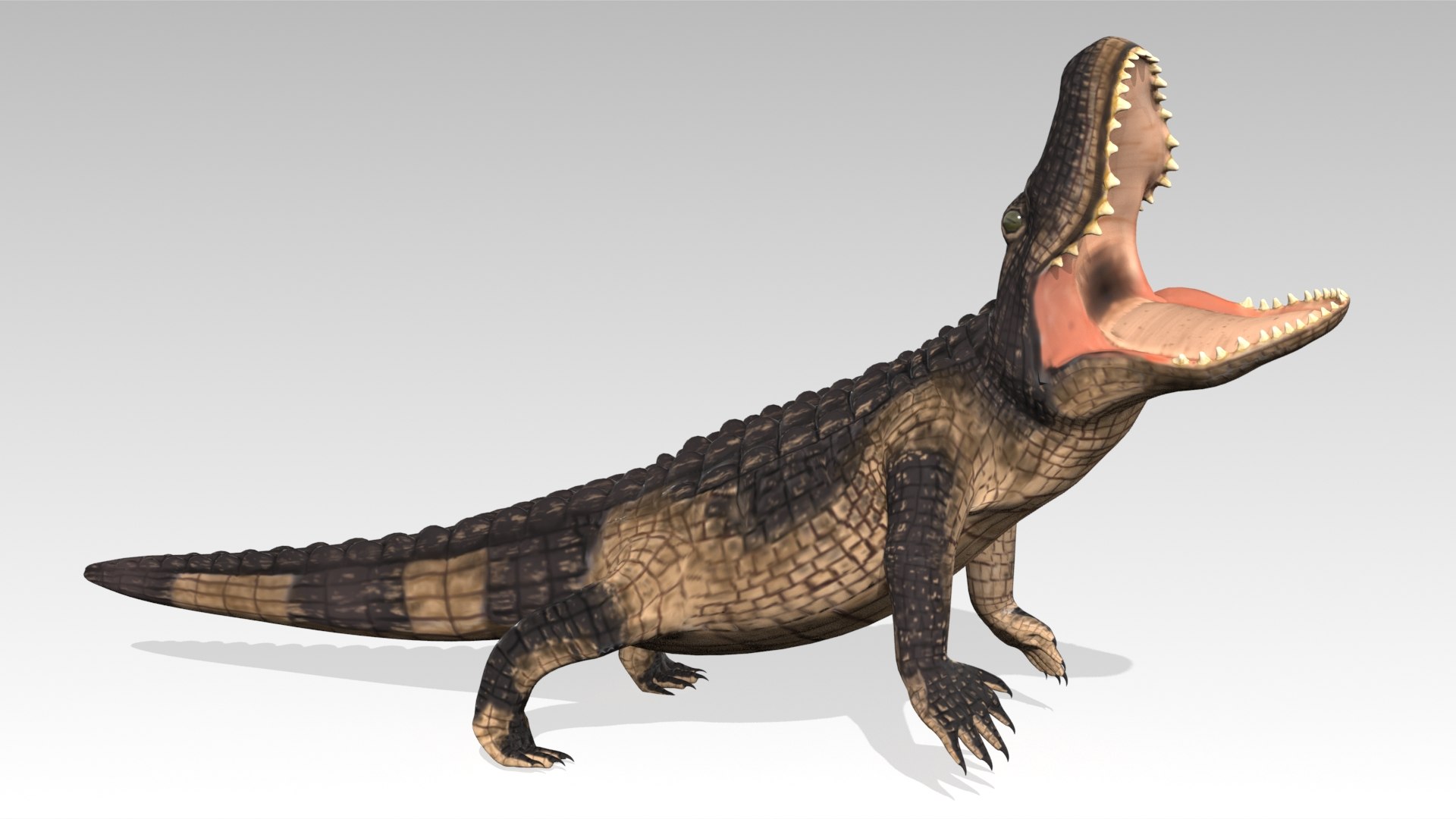 3D alligator animations https://p.turbosquid.com/ts-thumb/E9/Emp4Rj/XA/screenshot002/jpg/1733485191/1920x1080/fit_q87/713b16dfd6834803a3ea96704370e92d74691eb1/screenshot002.jpg