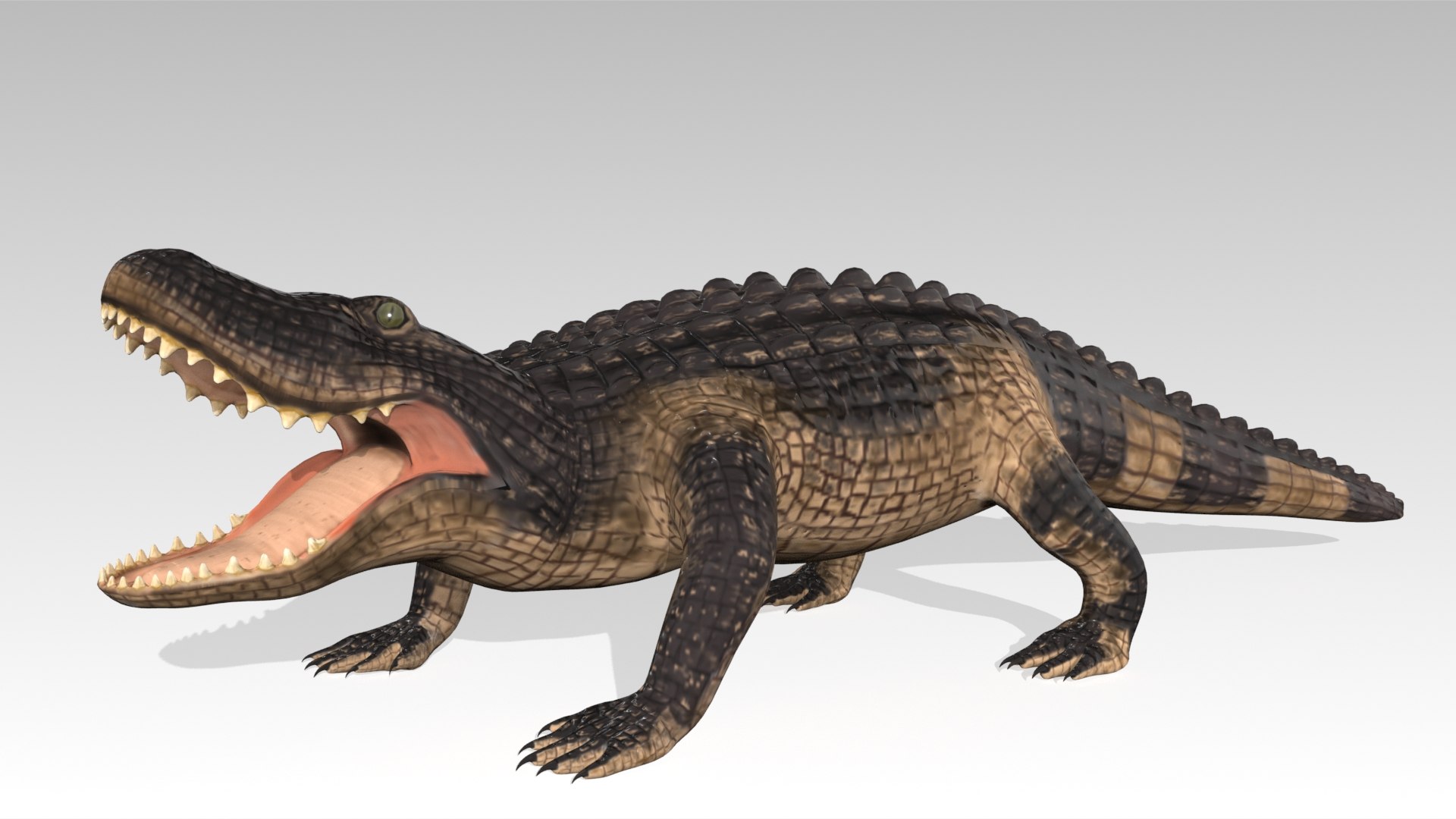 3D alligator animations https://p.turbosquid.com/ts-thumb/E9/Emp4Rj/pc/screenshot003/jpg/1733485192/1920x1080/fit_q87/d40ac3effa287ba5e8bd5ee2ffc0229e4e19af40/screenshot003.jpg