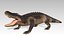 Aligator Animated