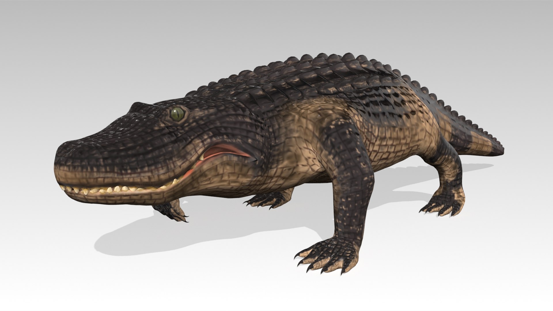3D alligator animations https://p.turbosquid.com/ts-thumb/E9/Emp4Rj/qD/screenshot006/jpg/1733485193/1920x1080/fit_q87/f607299780627bc8cebc4e5595254ecd1ce7567e/screenshot006.jpg