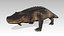 Aligator Animated