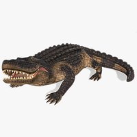 Aligator Animated