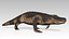 Aligator Animated