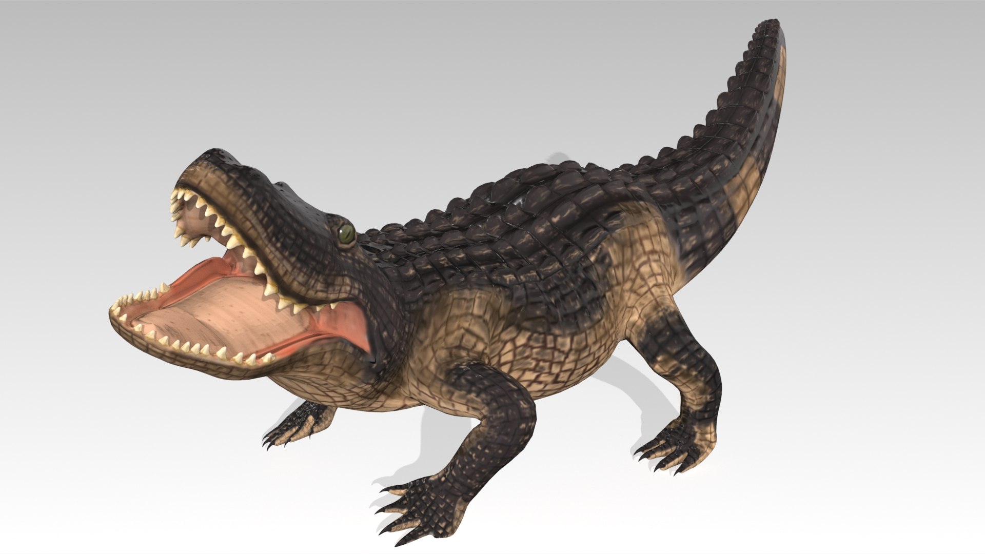 3D alligator animations https://p.turbosquid.com/ts-thumb/E9/Emp4Rj/sJ/screenshot004/jpg/1733485192/1920x1080/fit_q87/dc248fc01ed437413335fbe763858d2b7873343d/screenshot004.jpg