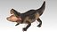 Aligator Animated