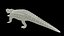 Aligator Animated