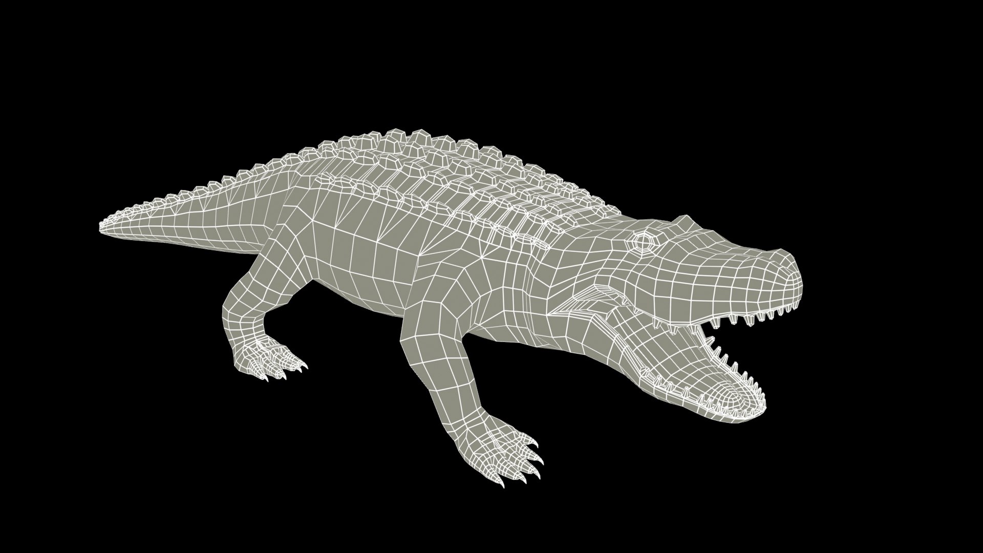 3D alligator animations https://p.turbosquid.com/ts-thumb/E9/Emp4Rj/zr/screenshot_wire1/jpg/1733480648/1920x1080/fit_q87/d588627a5248d797010780ff77def92016a13b46/screenshot_wire1.jpg