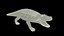 Aligator Animated