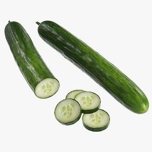 cucumber food 3D