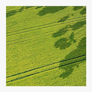 Seamless Green field with ruts PBR Material - 16K