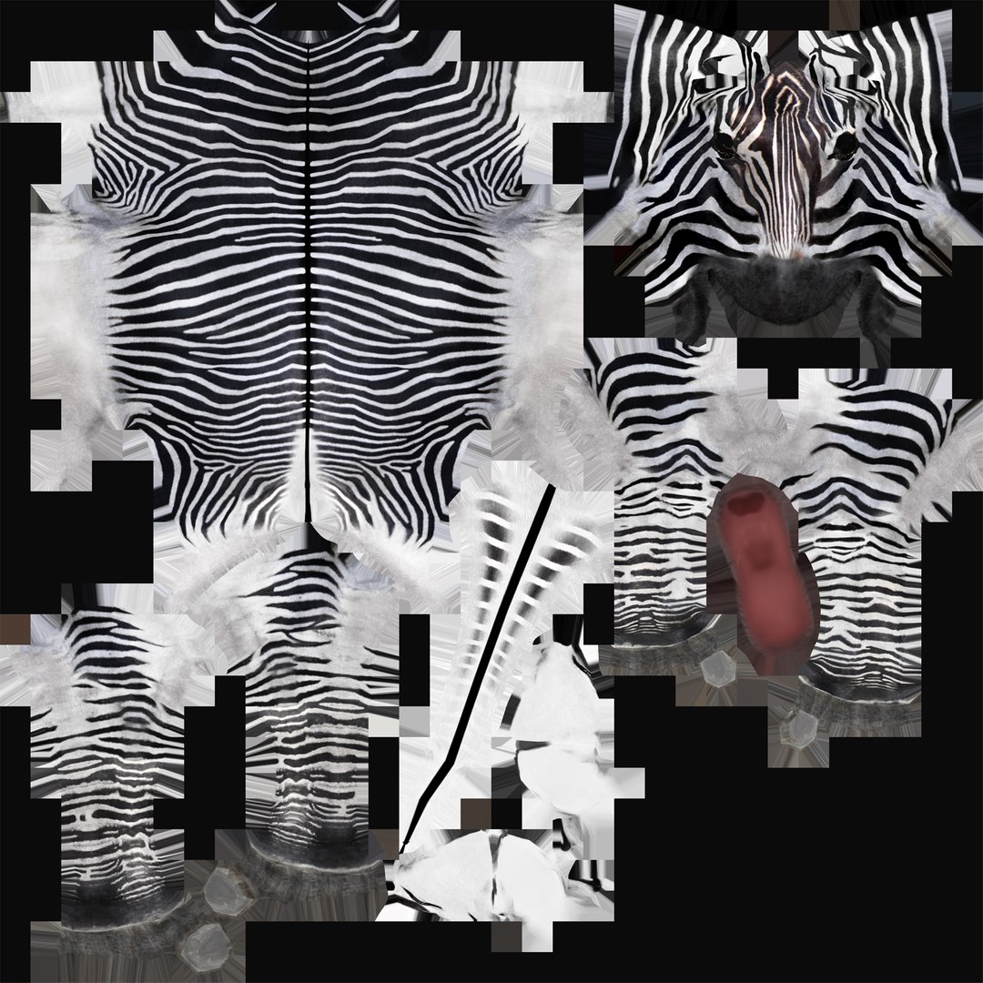 max zebra rig