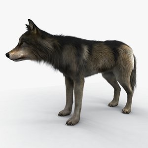 3D wolf fur variations