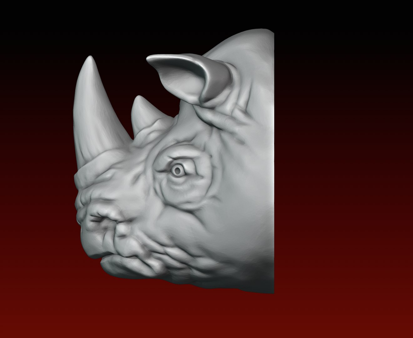 3D Model Rhino Head 3D Print - TurboSquid 1876676