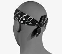 Black Paisley Bandana