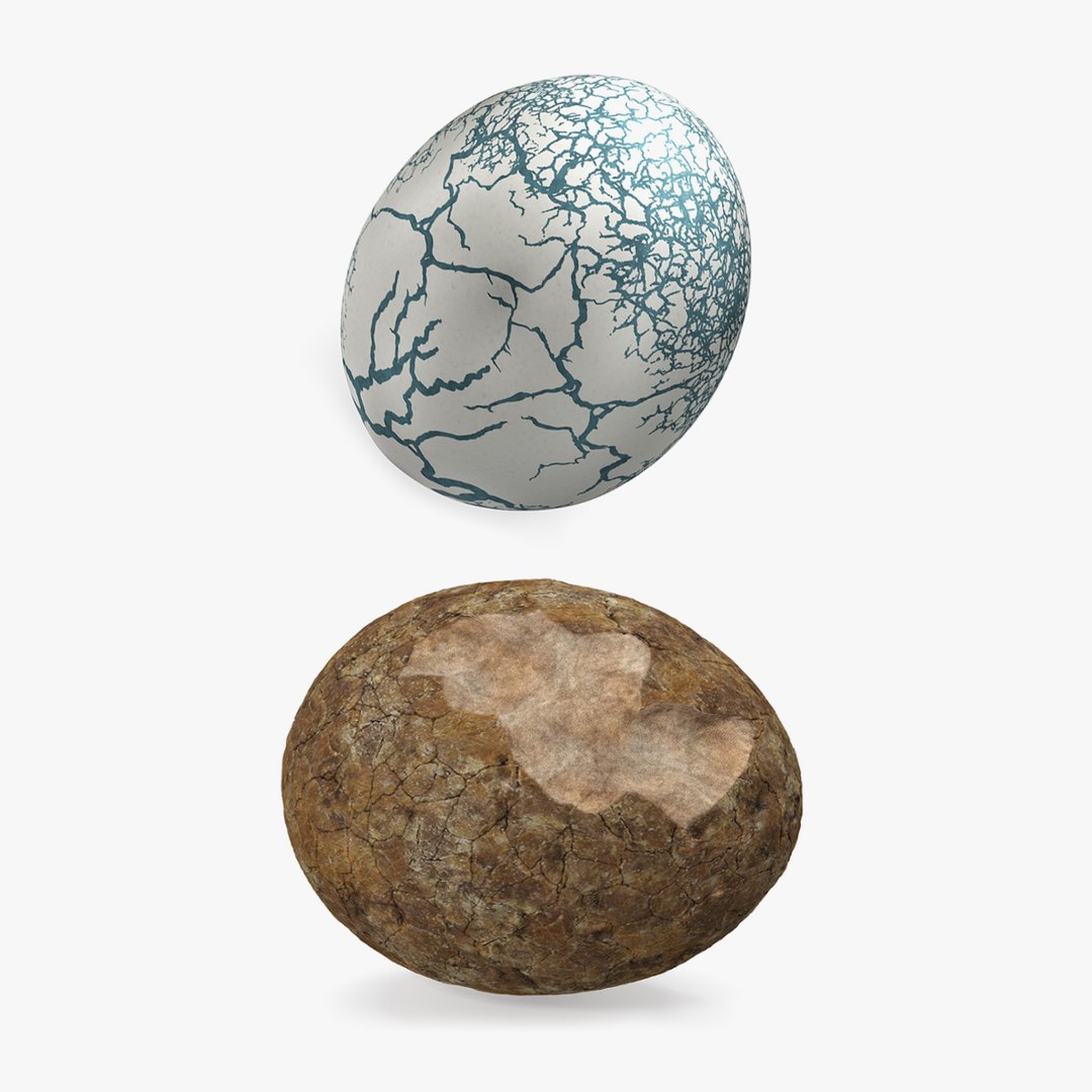 Dinosaur Egg Collection 3D model preview