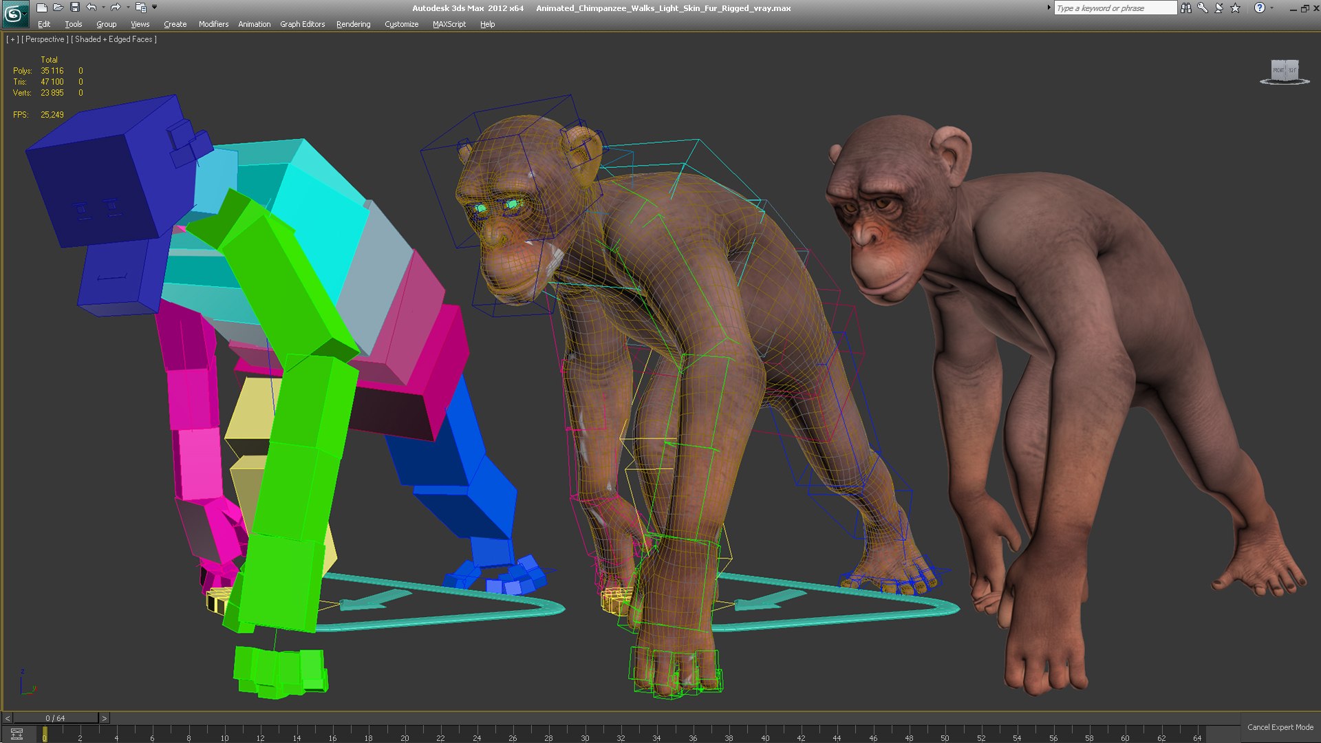 3D chimpanzee t-pose light fur animal - TurboSquid 1441049