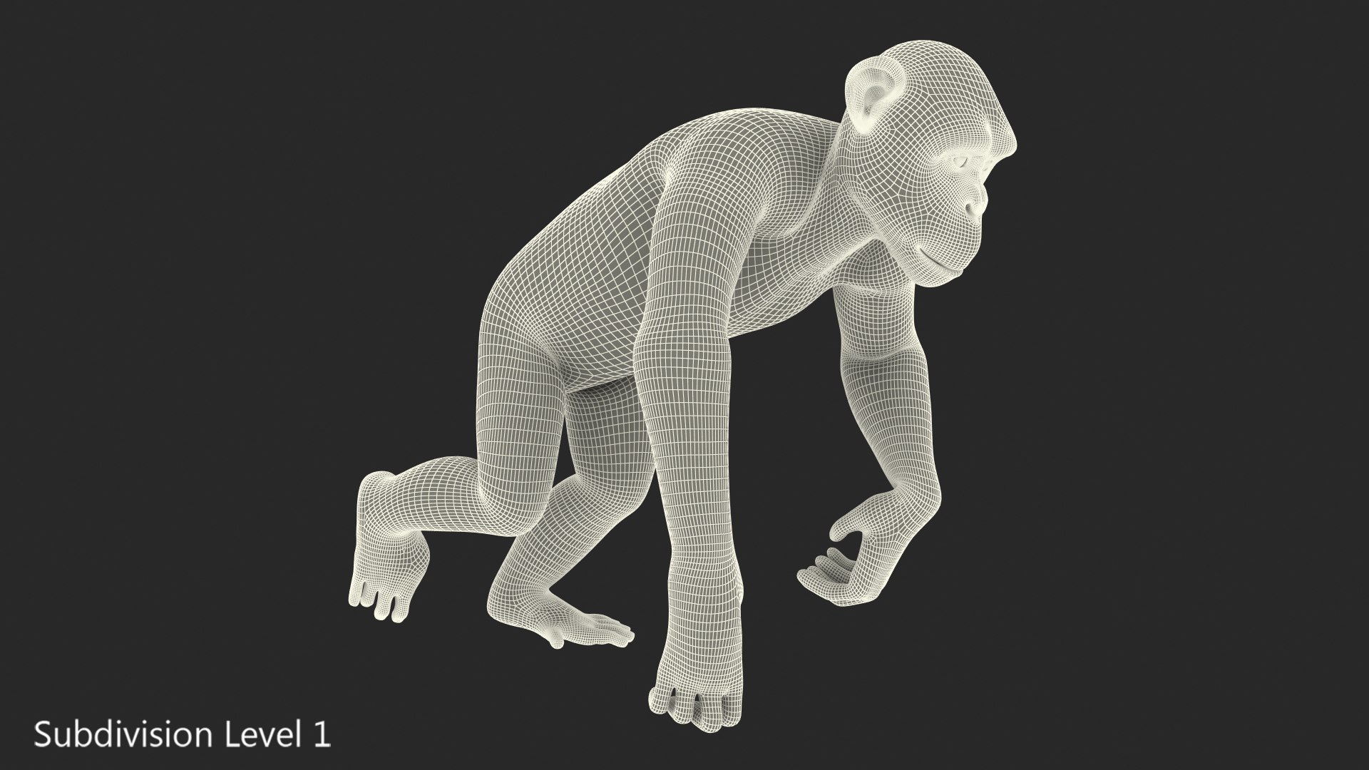 3D chimpanzee t-pose light fur animal - TurboSquid 1441049