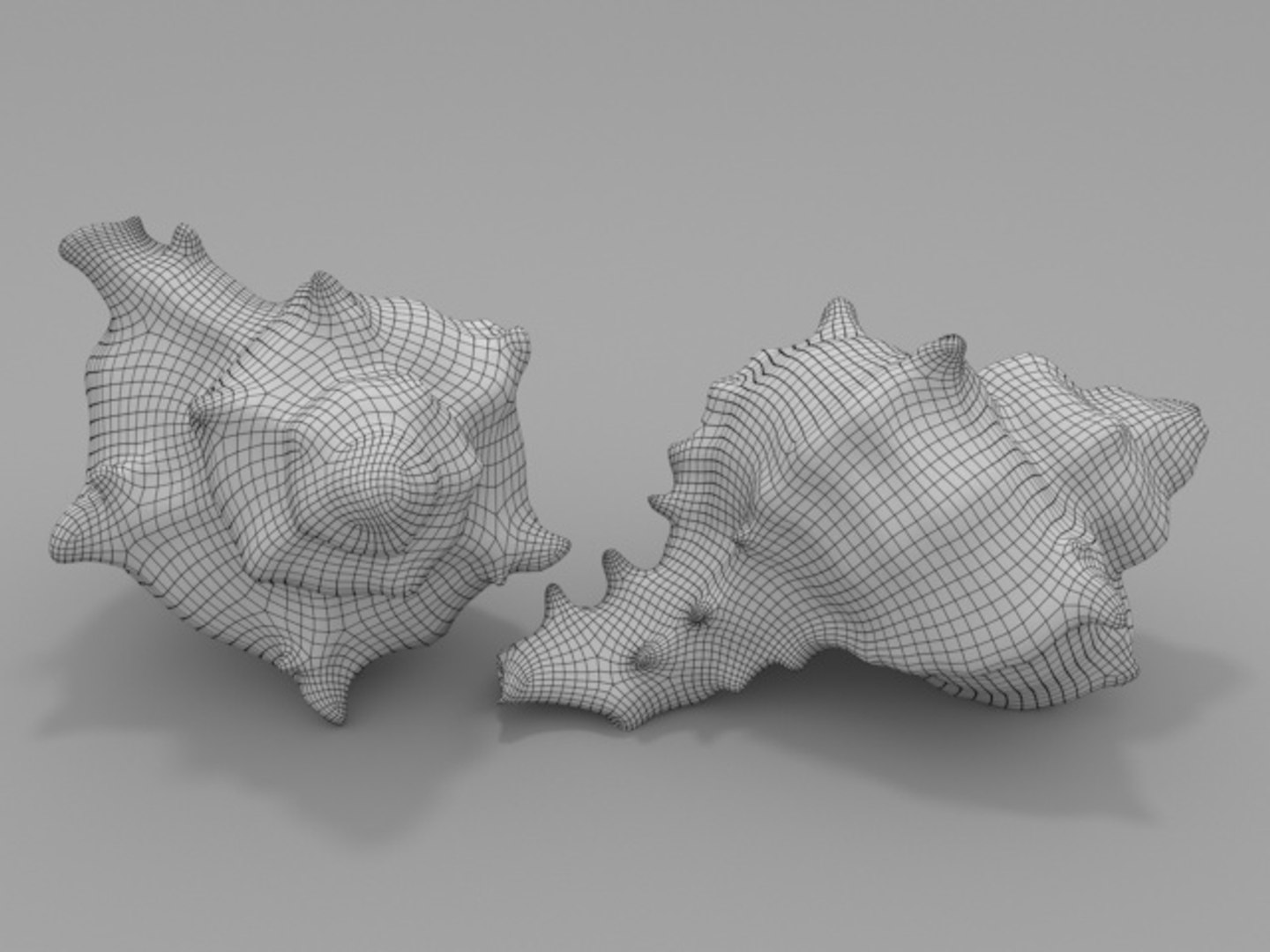 3D Seashell Sea - TurboSquid 1420597