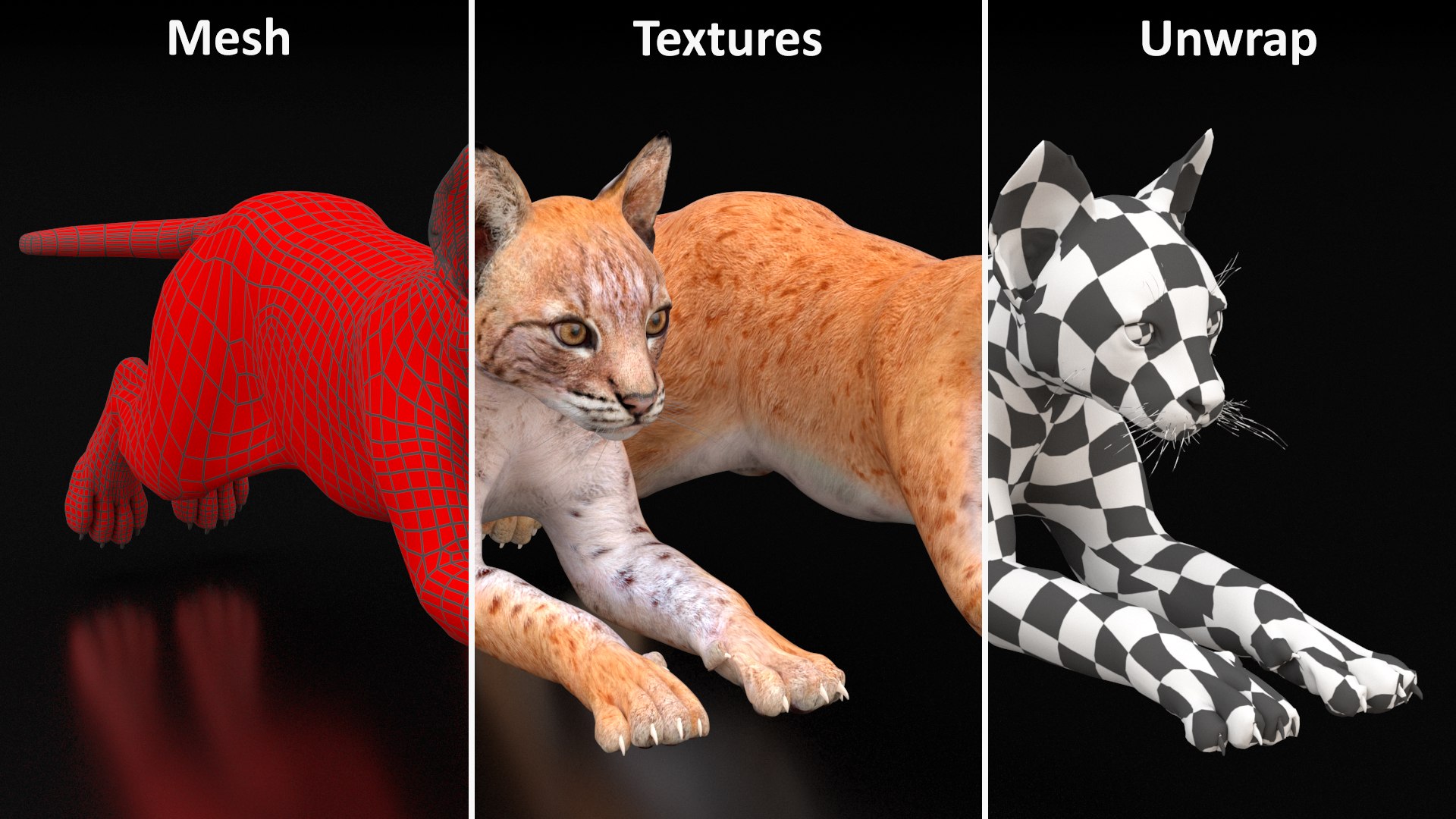 Lynx Cub in Jumping Pose 3D model https://p.turbosquid.com/ts-thumb/EA/Zl4Rw8/bv/lynx_cub_in_jumping_pose_014/jpg/1740030839/1920x1080/fit_q87/01ed16273c9b1c38eb2f803a0f7711bc540a845a/lynx_cub_in_jumping_pose_014.jpg