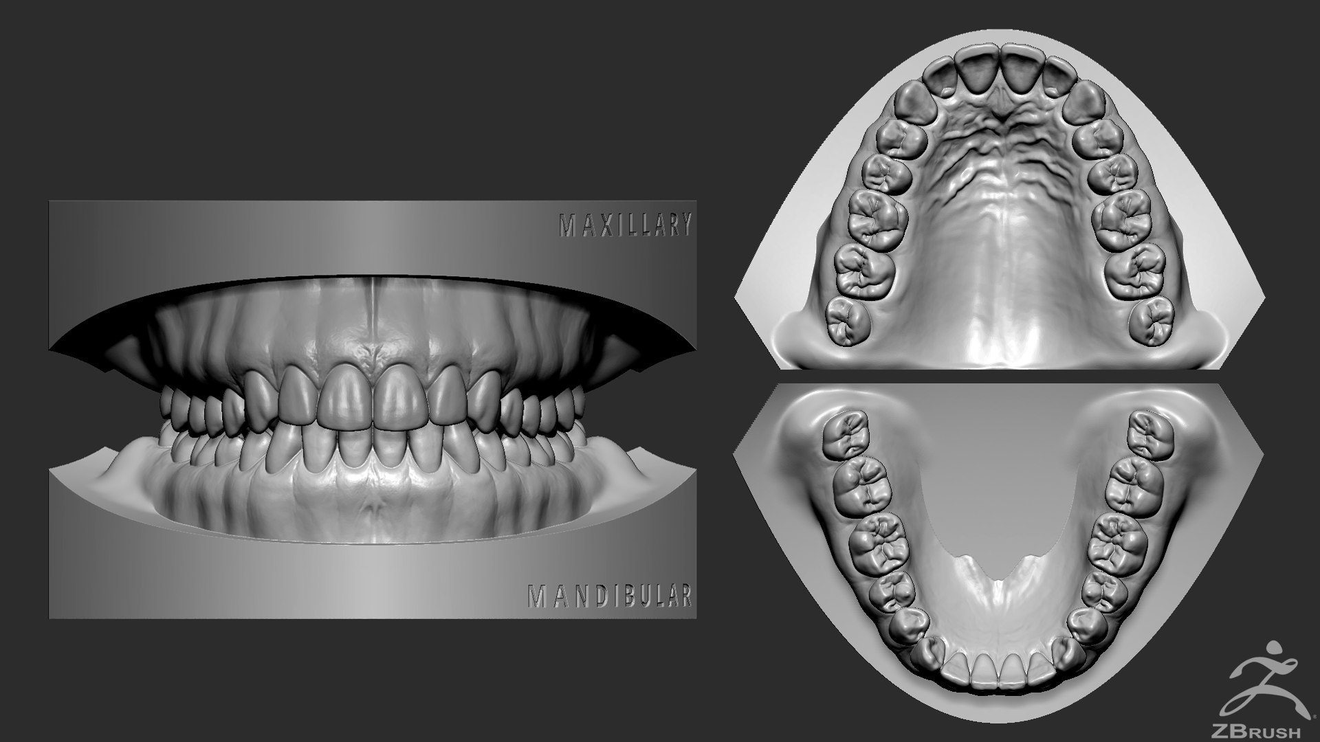 mandibula stl file 3D Models to Print - yeggi