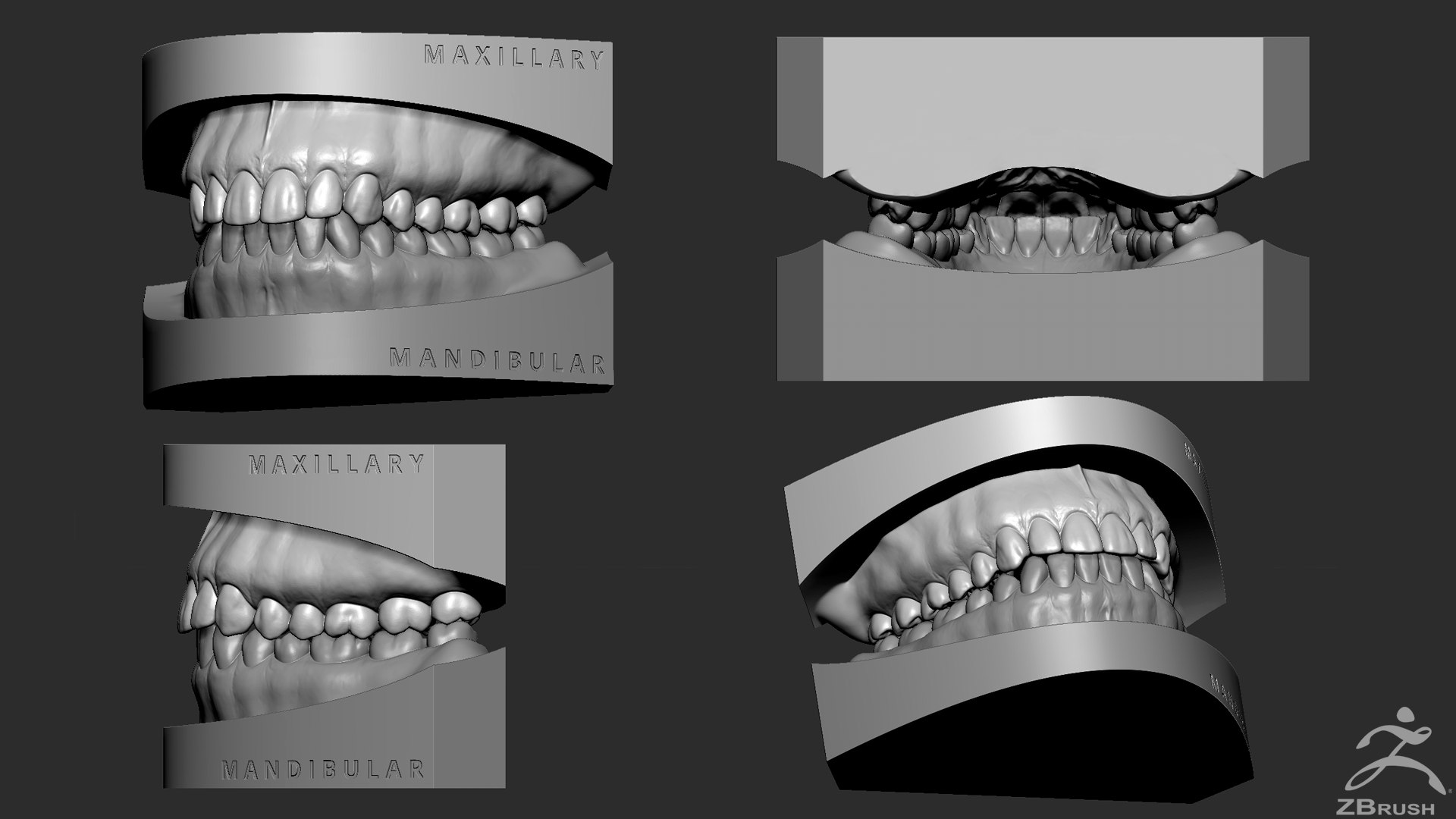 mandibula stl file 3D Models to Print - yeggi