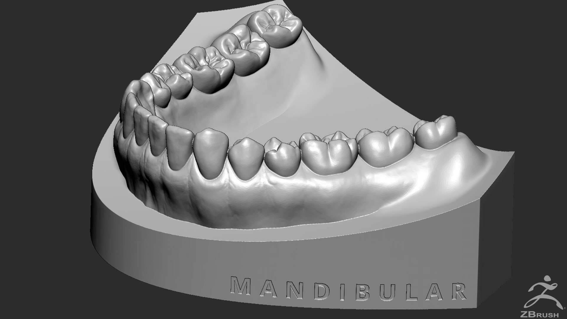 mandibula stl file 3D Models to Print - yeggi