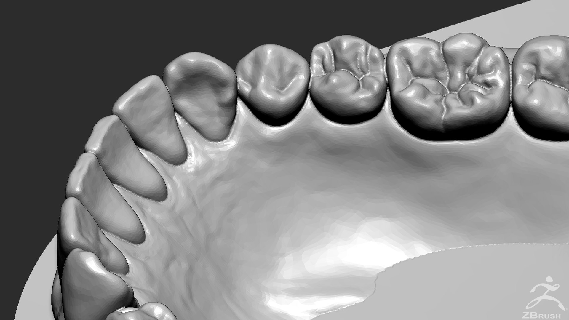 mandibula stl file 3D Models to Print - yeggi