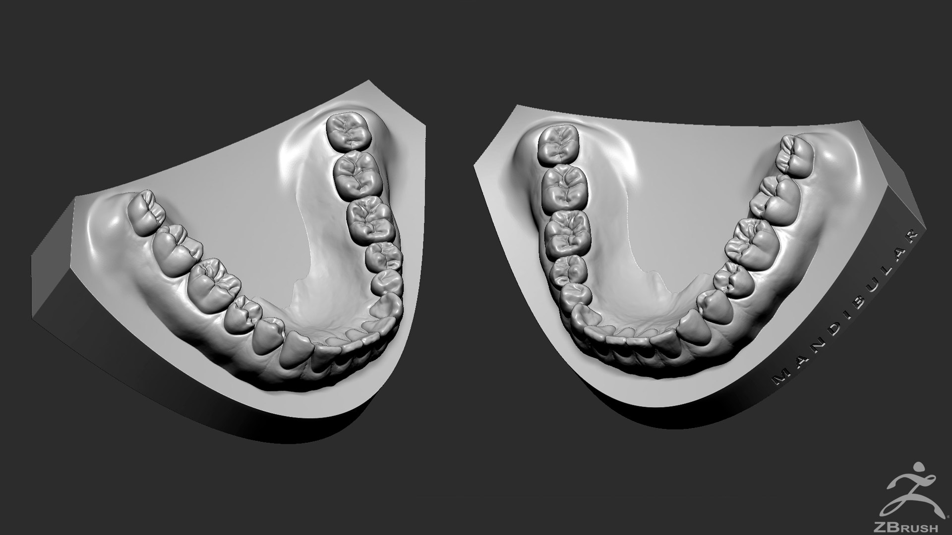 mandibula stl file 3D Models to Print - yeggi