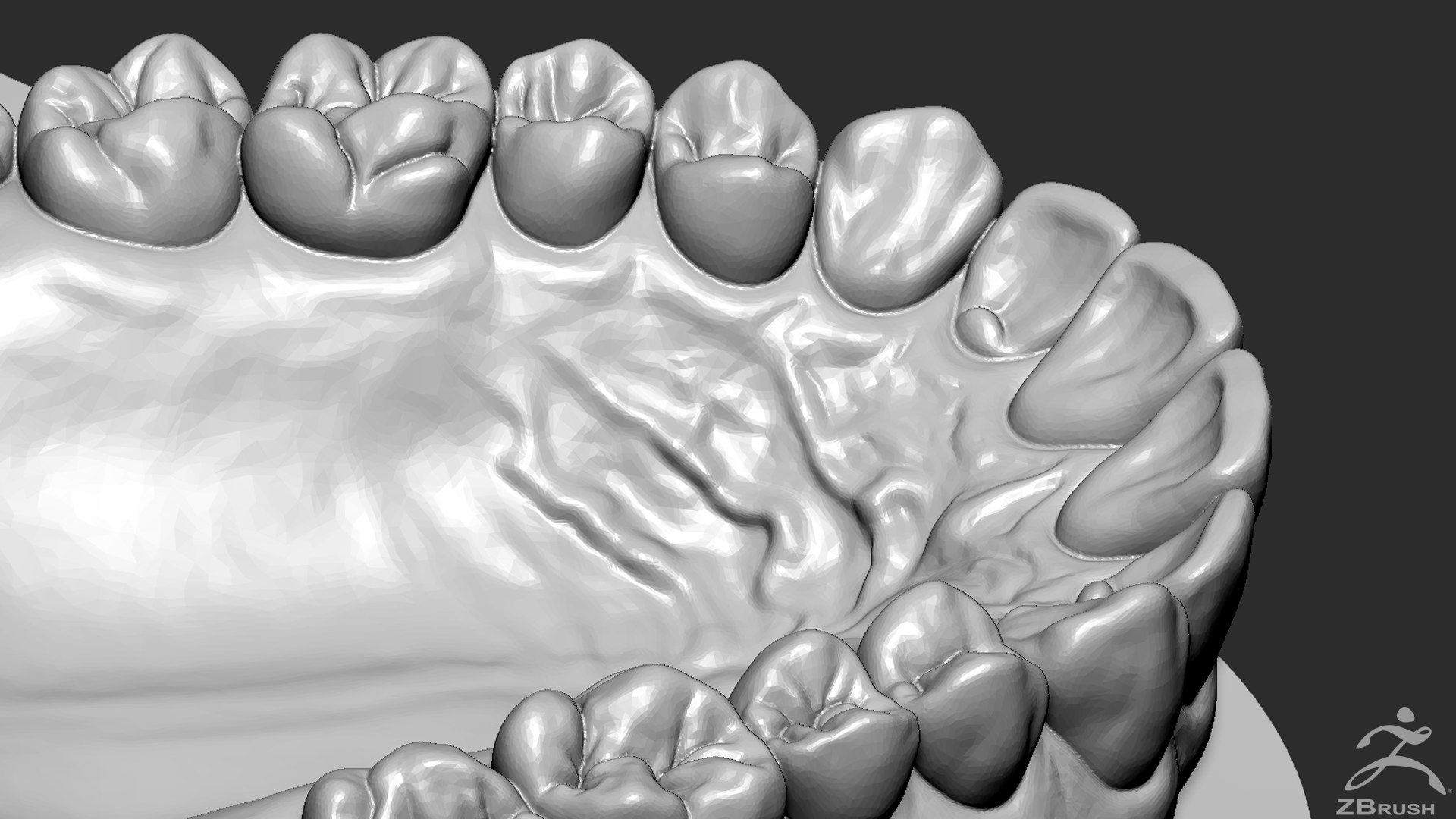 mandibula stl file 3D Models to Print - yeggi