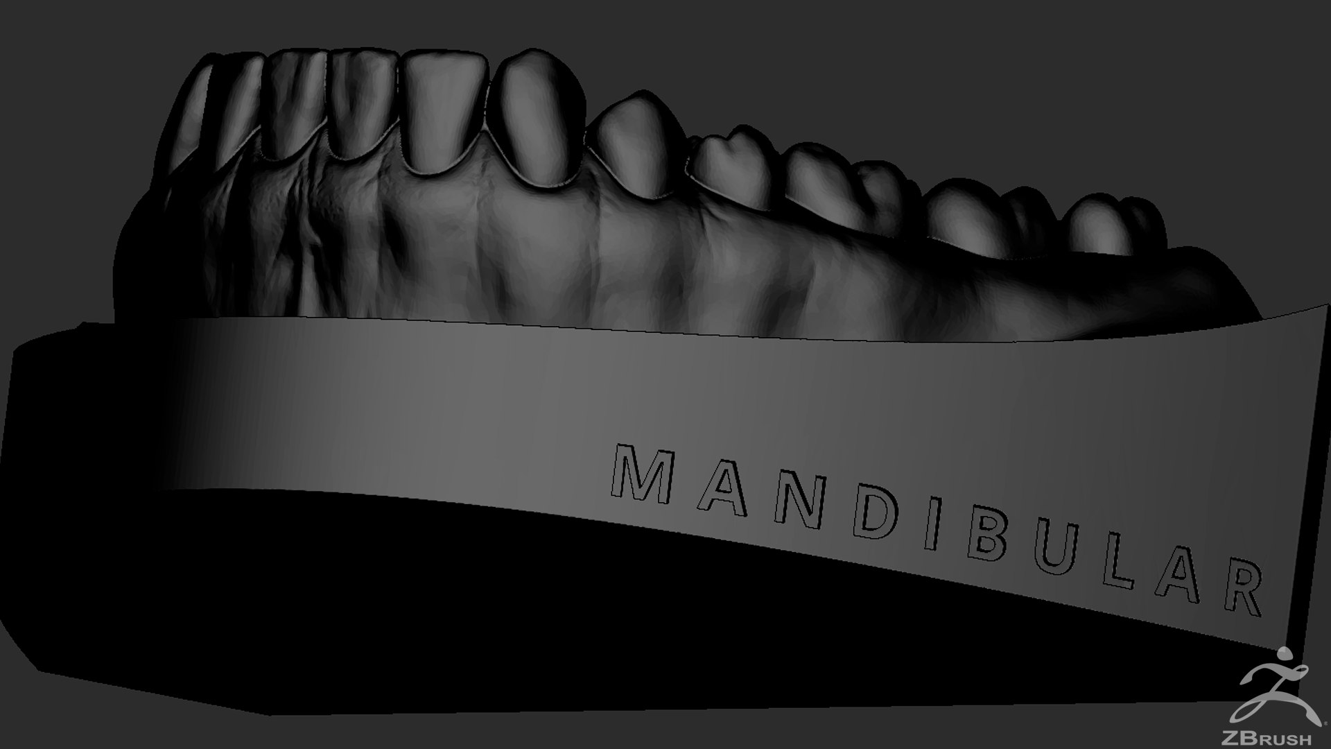 mandibula stl file 3D Models to Print - yeggi