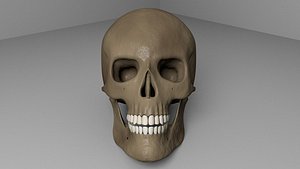 Skull