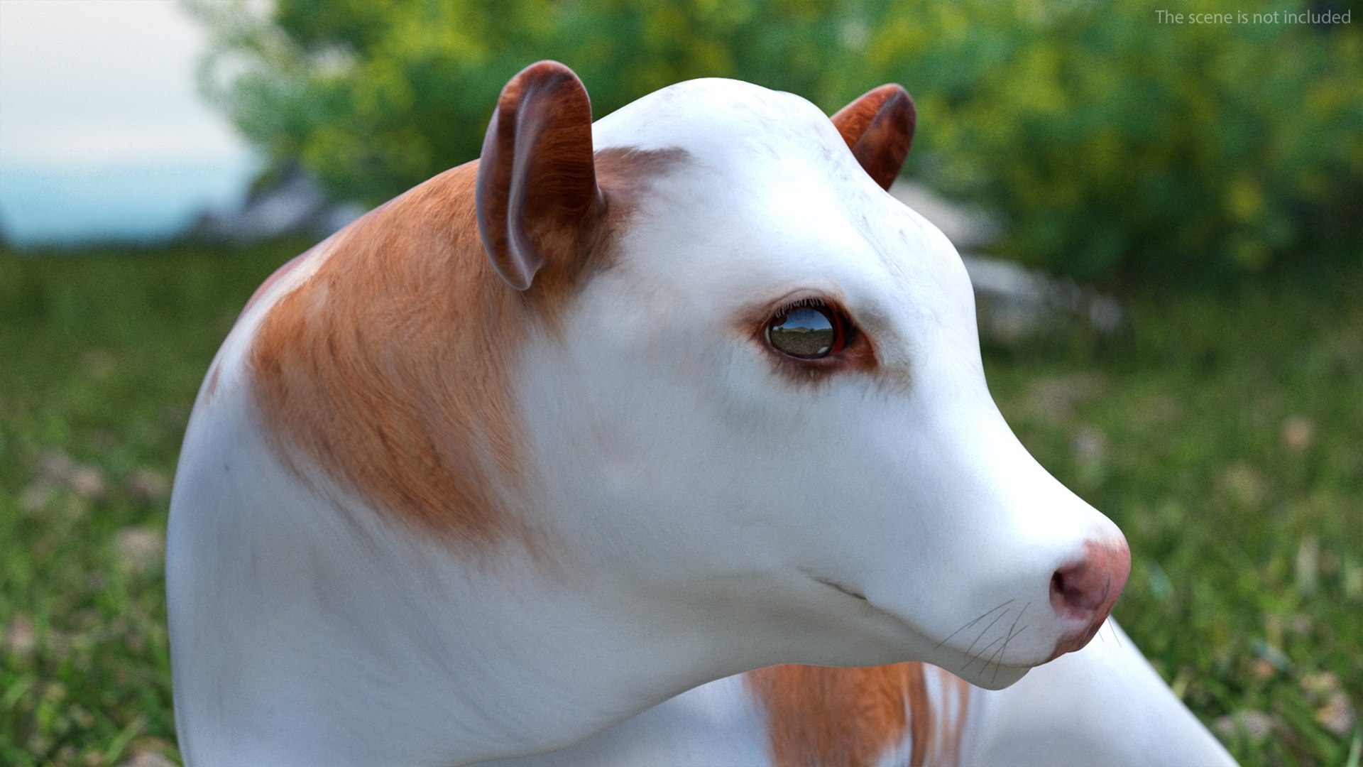 3D Cow Calf In Lying Pose Model - TurboSquid 2258829