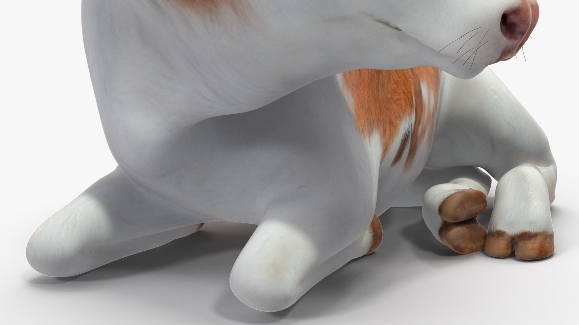 3D Cow Calf In Lying Pose Model - TurboSquid 2258829
