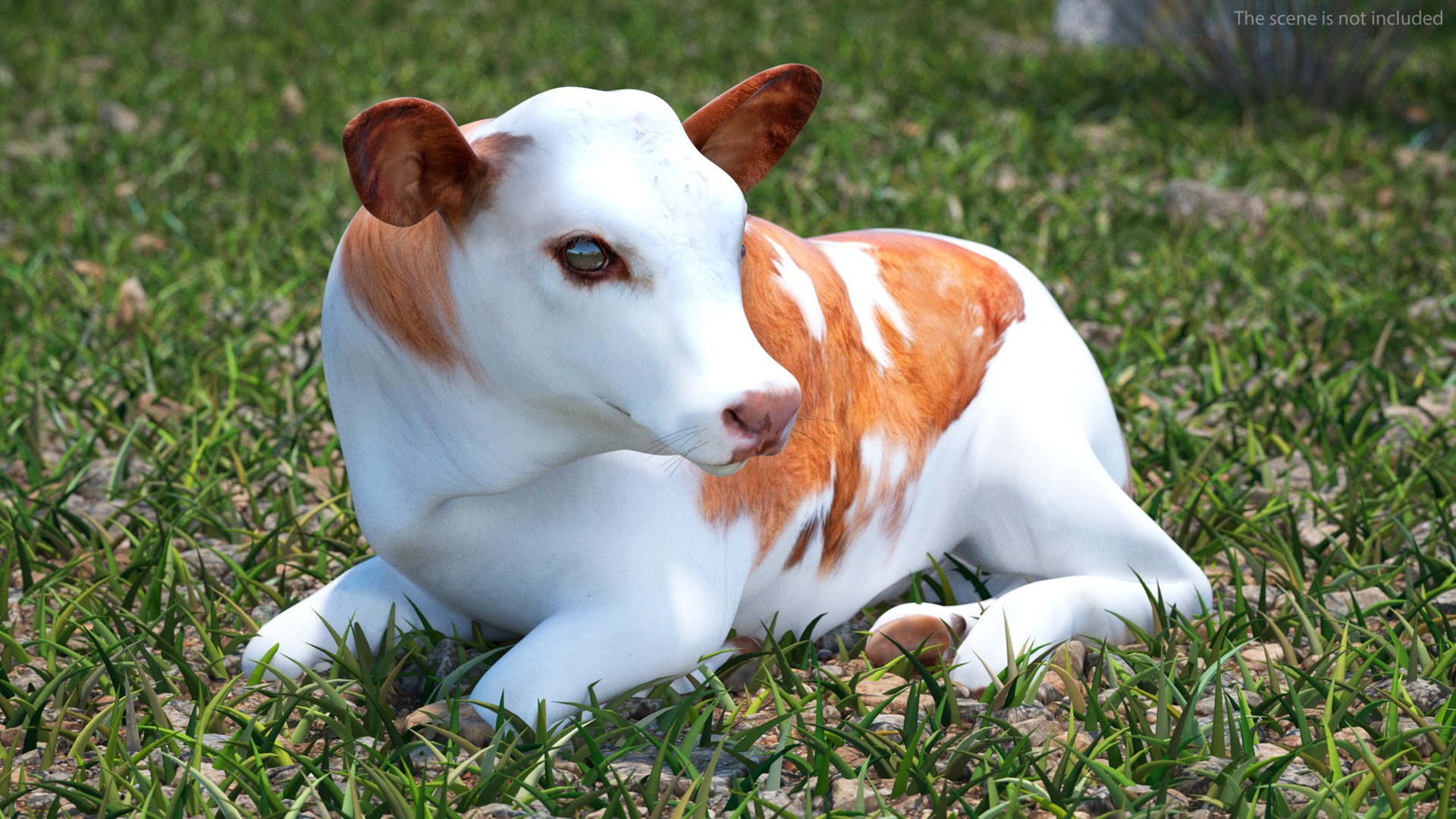 3D Cow Calf In Lying Pose Model - TurboSquid 2258829