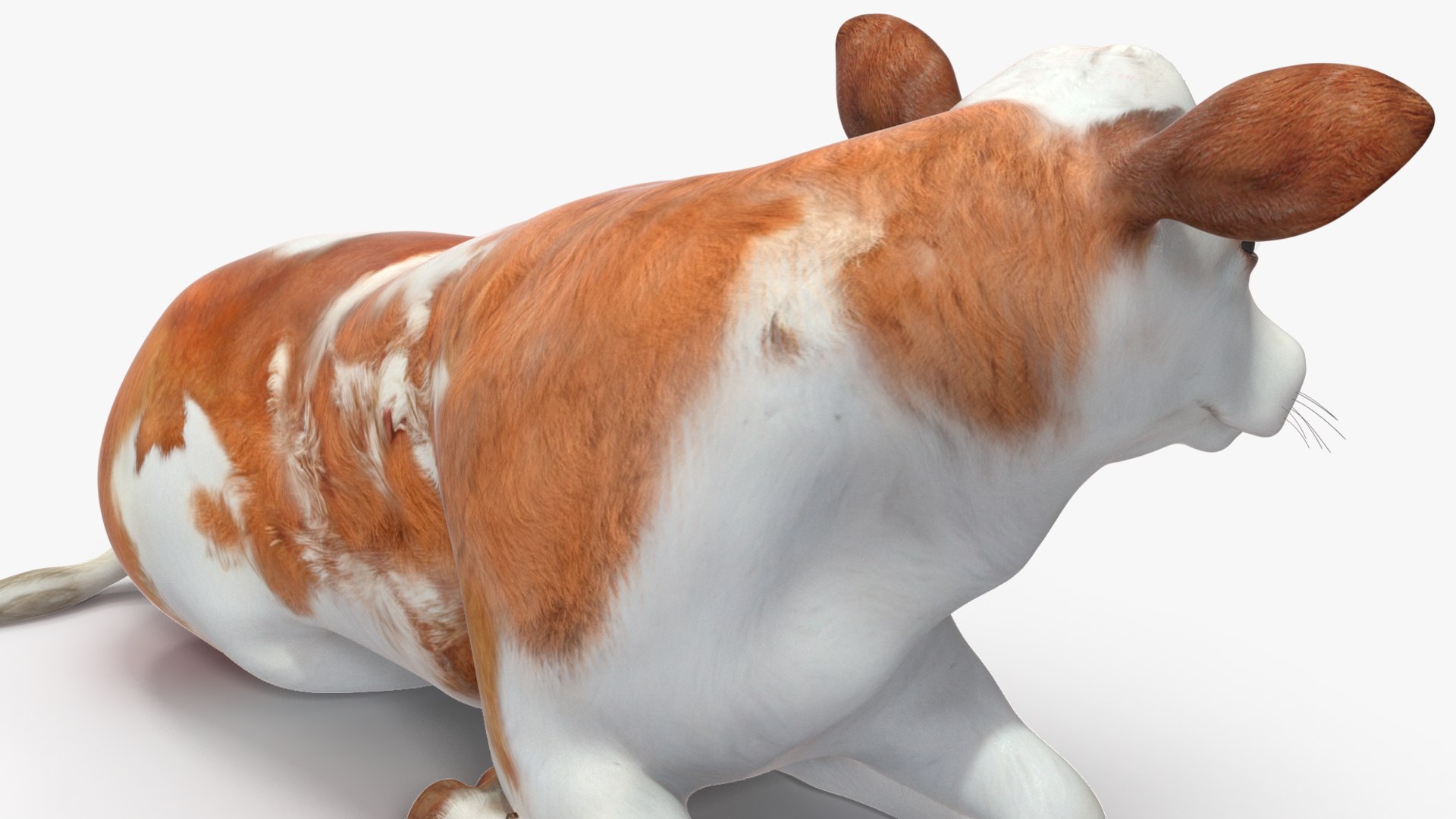 3D Cow Calf In Lying Pose Model - TurboSquid 2258829