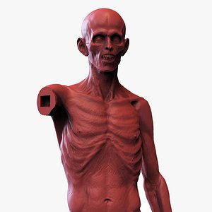 The ecorche of the Pyrosuvious 3D model