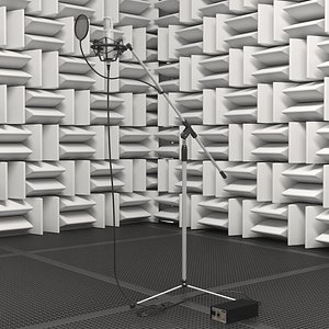 3D Enechoic Chamber With Microphones
