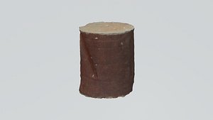 3D old rusty trash cans