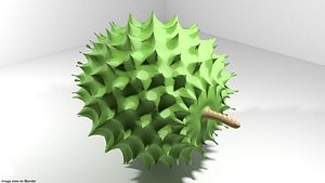 3D durian fruit tropical