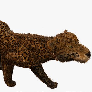 Jaguar Cheeta 3D model