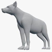 hyena crocuta