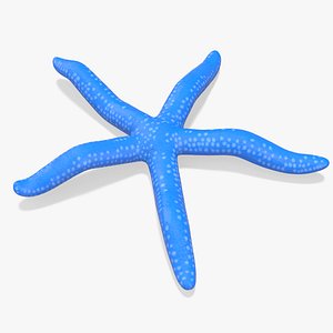 Blue Linckia Rigged model