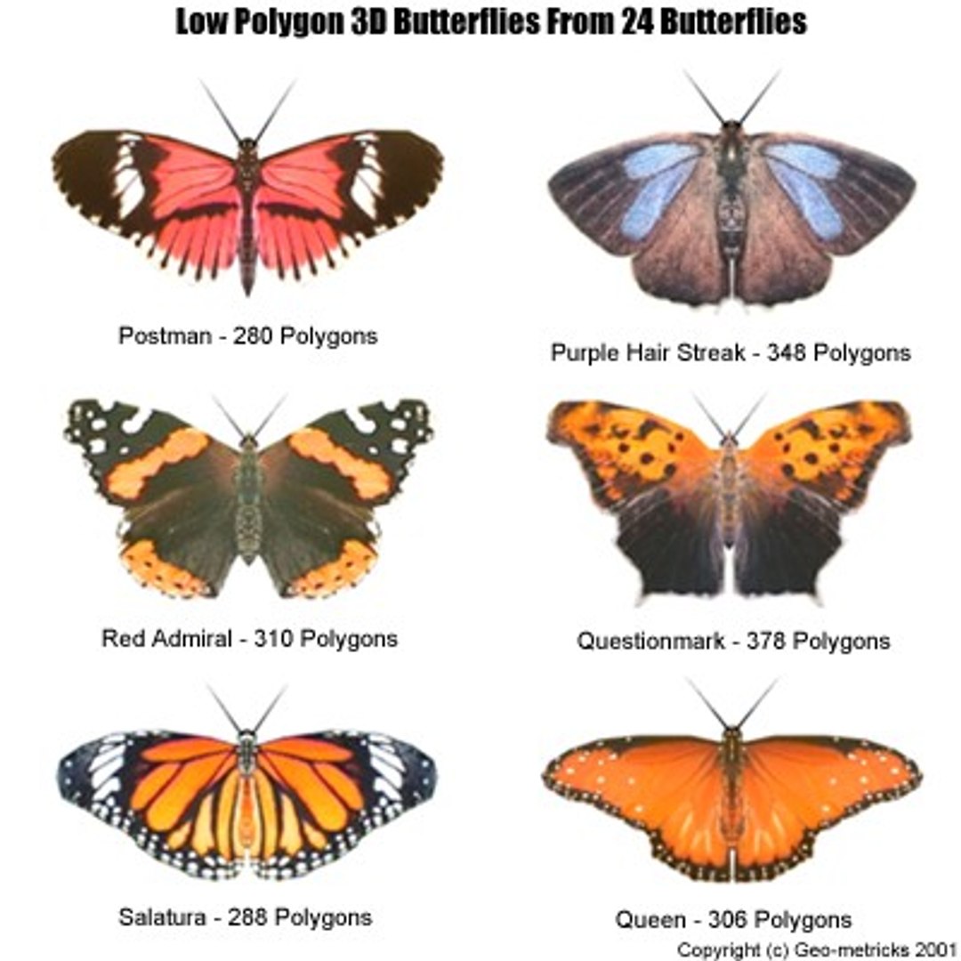 24 Butterflies 3d Model