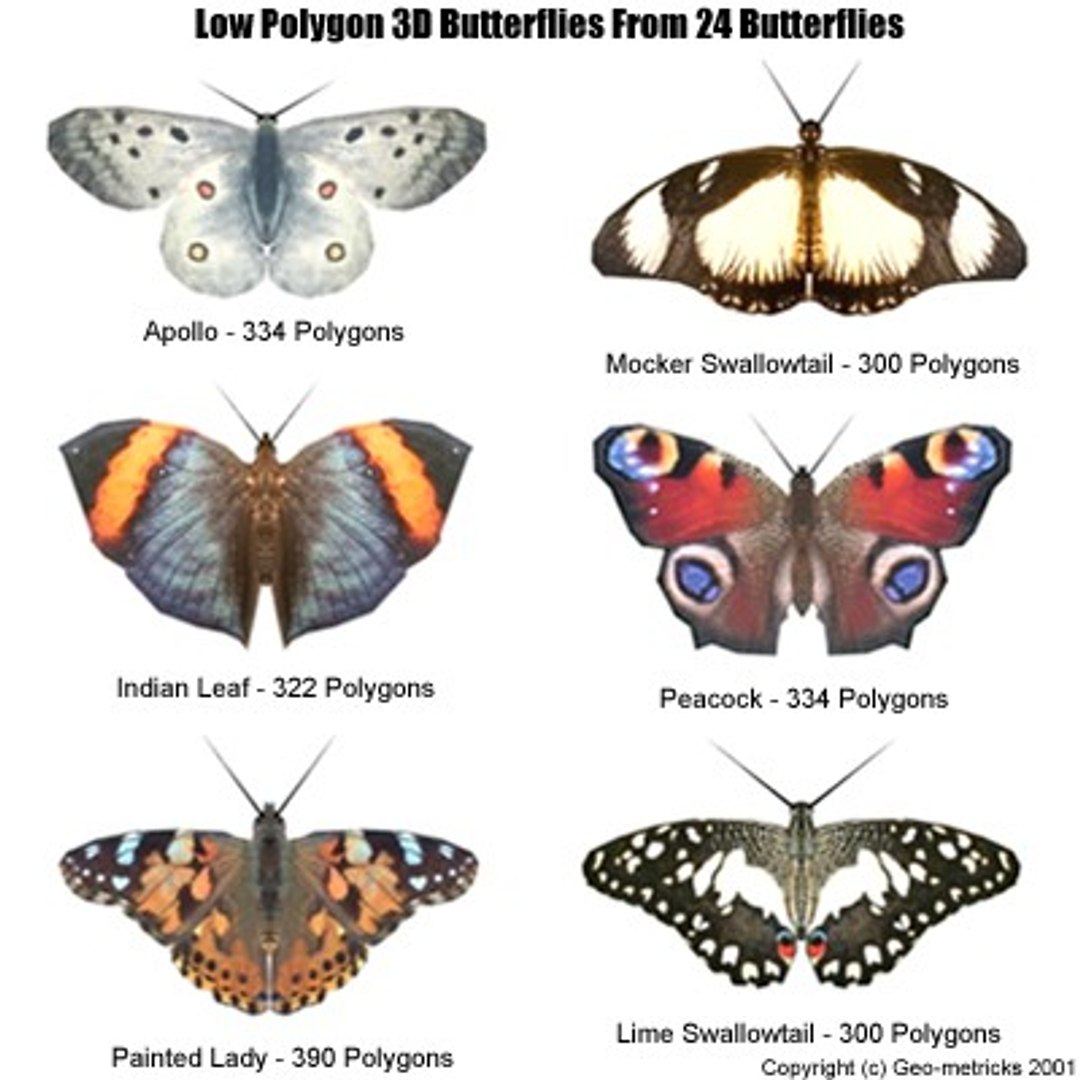 24 Butterflies 3d Model