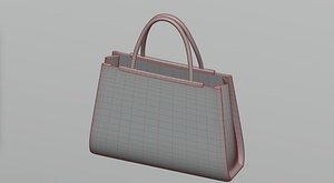 Bag 7 3D model