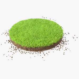 3D Round Soil with Grass Fur