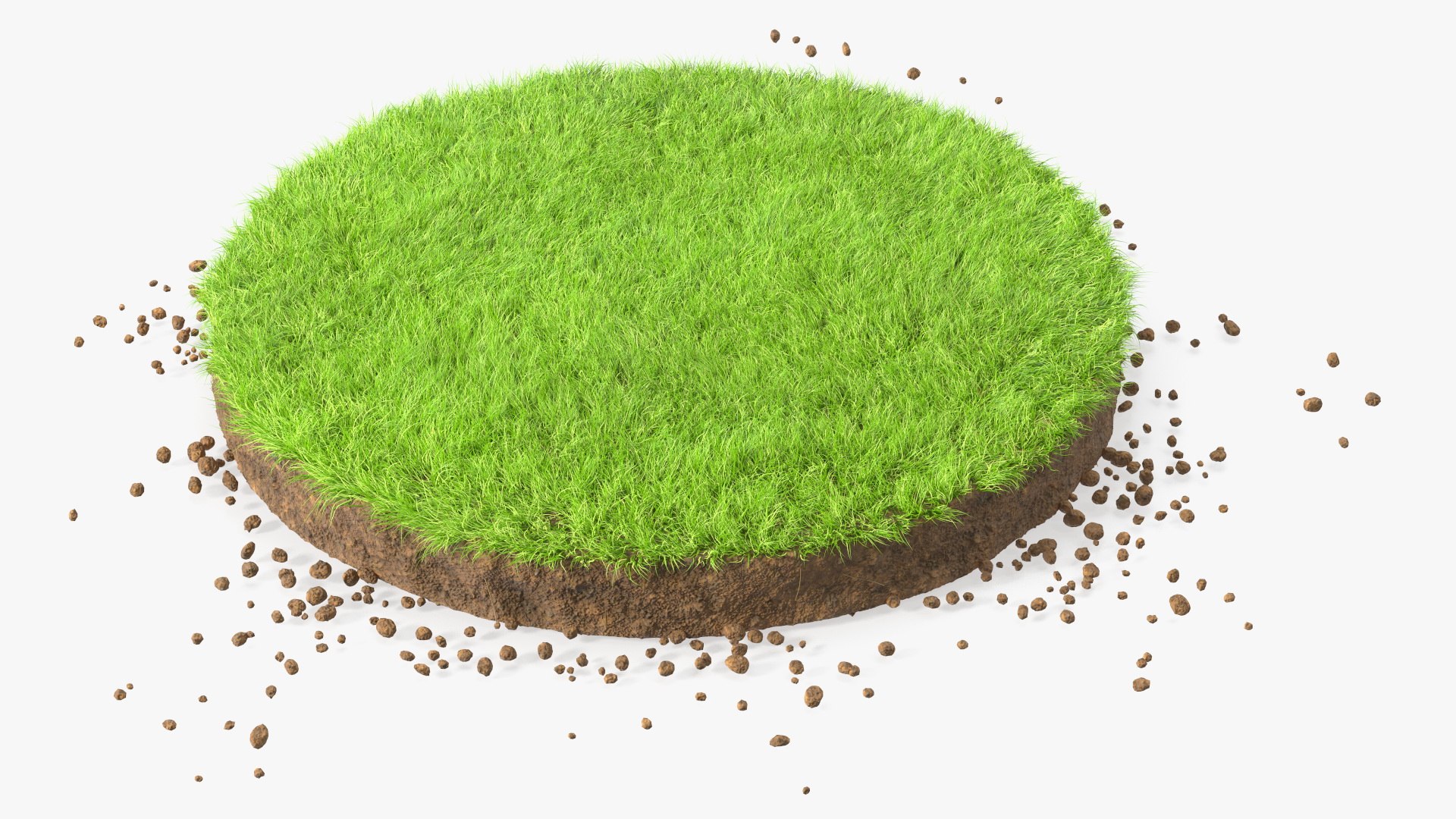 3D Round Soil with Grass Fur https://p.turbosquid.com/ts-thumb/EB/ircs8L/Fj/roundsoilwithgrassfurmb3dmodel001/jpg/1671687462/1920x1080/fit_q87/fc1ae5b157a8534ae1d93b88082c20b0705e9afb/roundsoilwithgrassfurmb3dmodel001.jpg