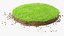 3D Round Soil with Grass Fur