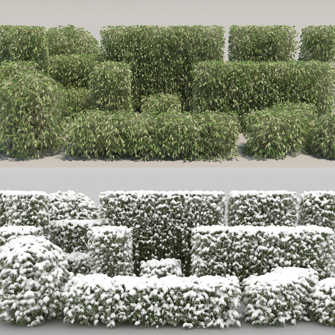 snow snowy bushwall max https://p.turbosquid.com/ts-thumb/EB/uK0oRO/1A/02/jpg/1670758298/1920x1080/fit_q87/f499113b86930364b6b3905f671855e2d42bd936/02.jpg