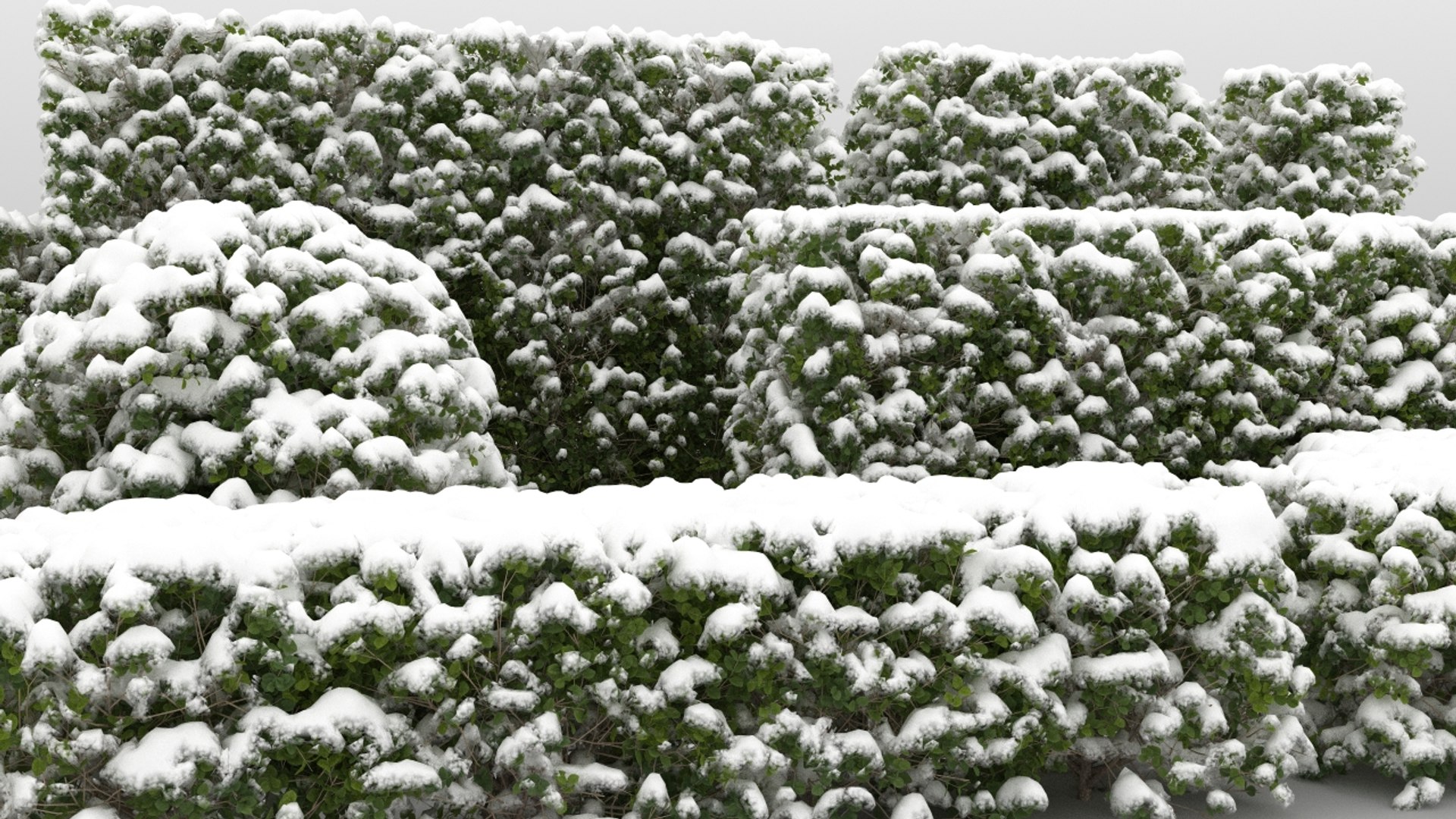 snow snowy bushwall max https://p.turbosquid.com/ts-thumb/EB/uK0oRO/Lu/15/jpg/1670758650/1920x1080/fit_q87/bc4e862bf818031021bece77ce3ee96e837d6ff1/15.jpg